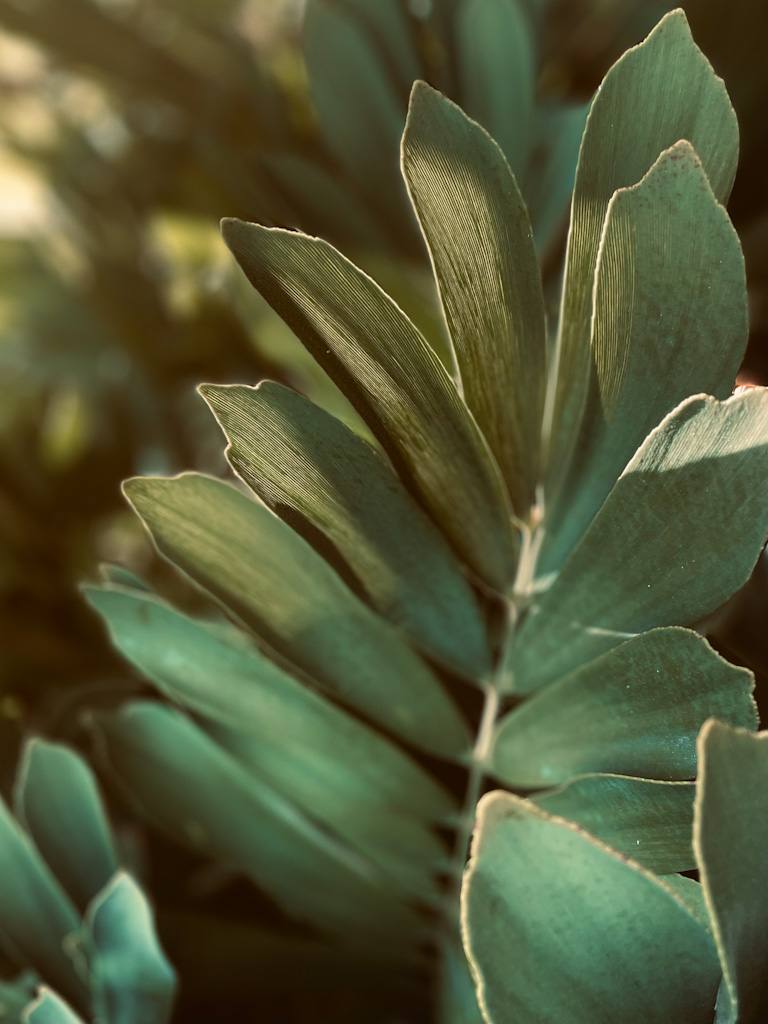 Tropical — Rebecca Bennett photography